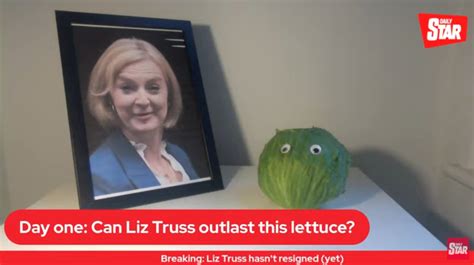 daily star liz truss lettuce live stream news